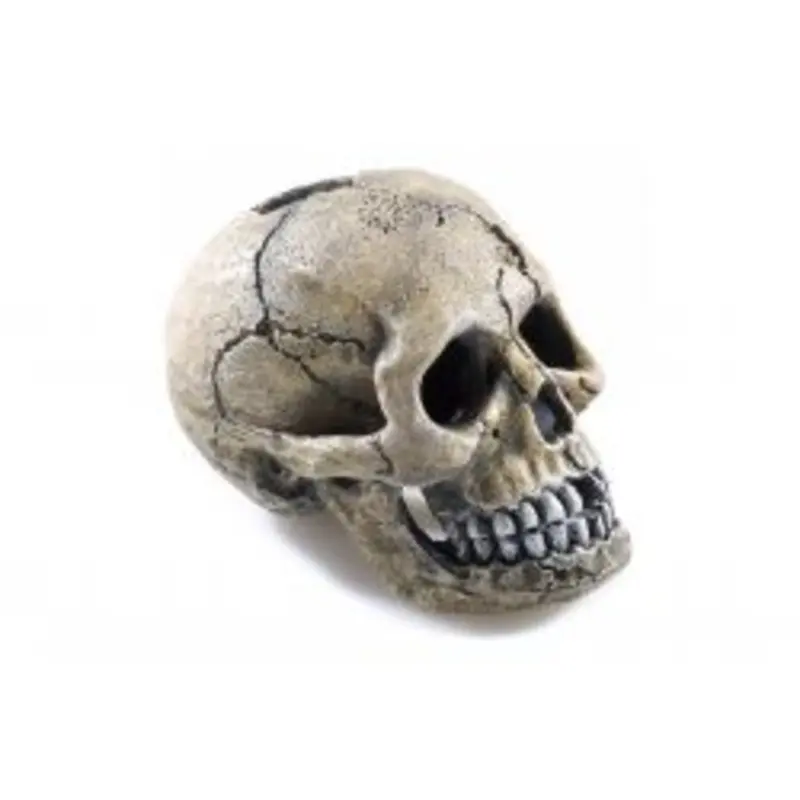 Classic Aquatics Polyresin Aquarium Ornaments - Spooky Skull - 8.5Cm