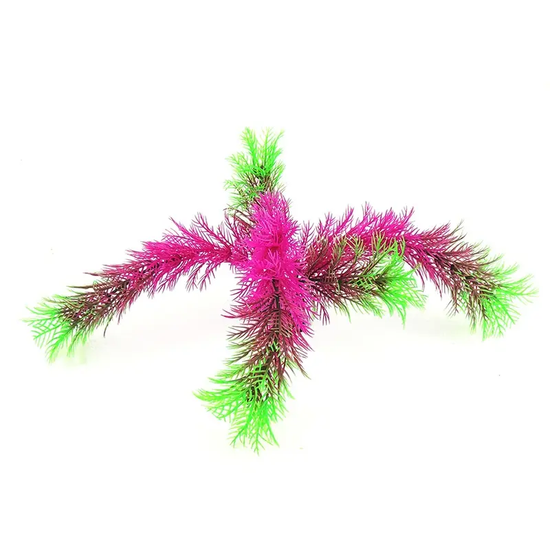 Classic Aquatics Aquatic Fern Plant Green And Red Small