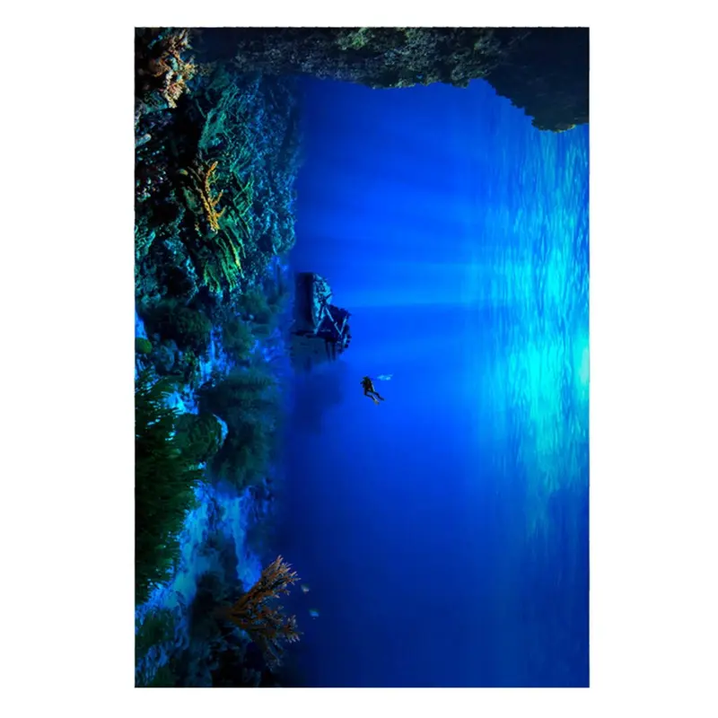 Adhesive Seaworld Background Poster For Aquarium Fish Tank Decoration 91 X 41Cm