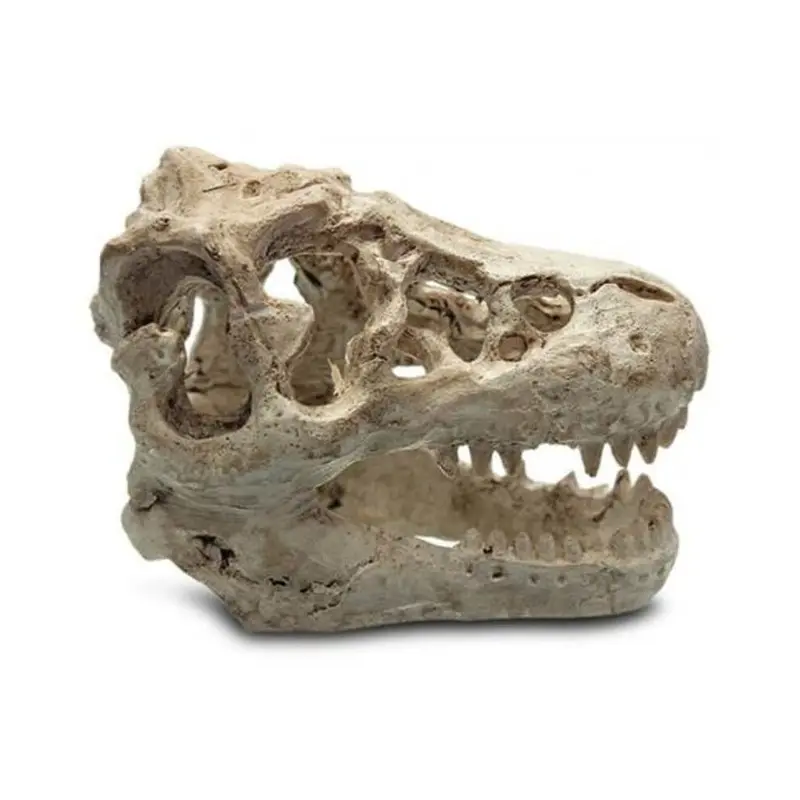 Hod Pets Pink (Standard, 2) Resin Dinosaur Skull Shape Aquarium Decors Yellowish Size 2