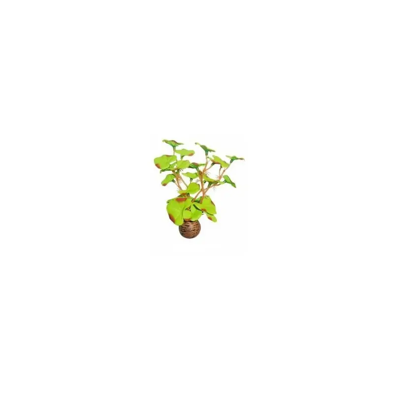 Superfish Easy Plants Foreground - 1 - 515165 13Cm