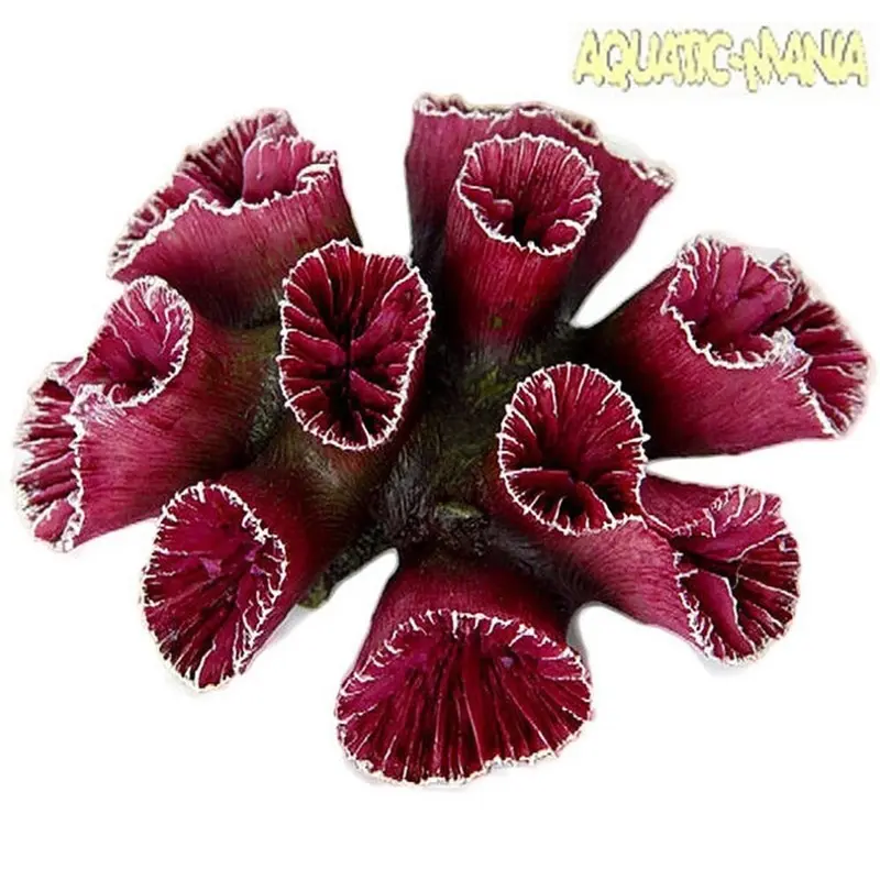 Betta Purple/Coral Trumpet Head (L) X (W) X 4Cm (H) Ms923 10Cm