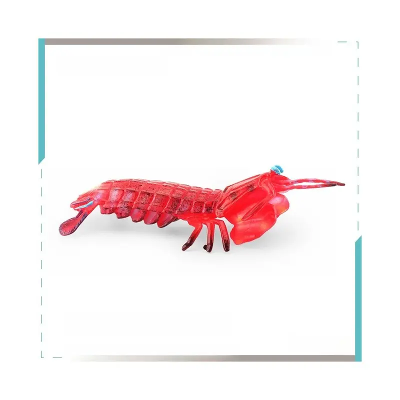 Red (Red) Life Pvc Marine Model With Realistic Pipi Shrimp And Crab For Aquarium Decor