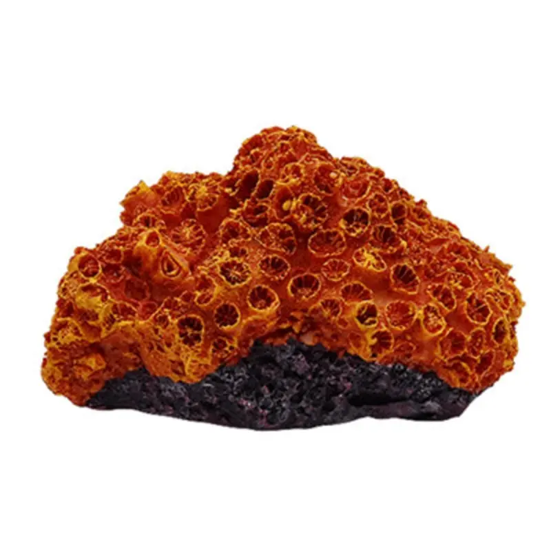 Swell Resin Brain Orange/Coral