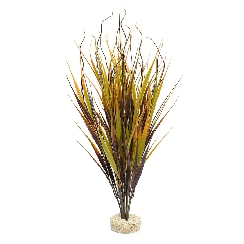 Sydeco Beauty Wild Aquarium Plant