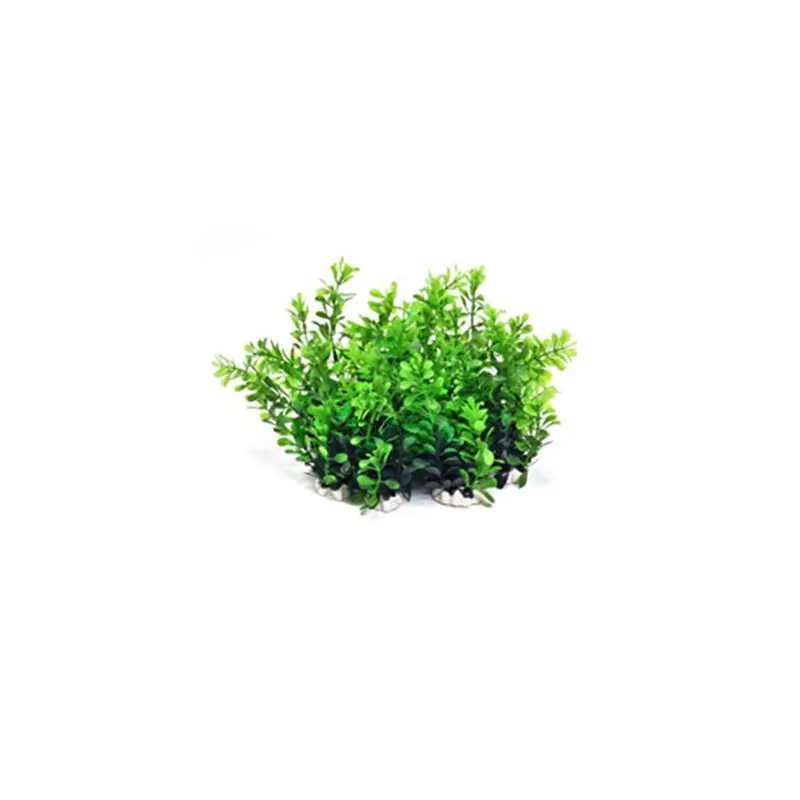 Aquatop Aquatic Supplies Profit Power Pack Plant