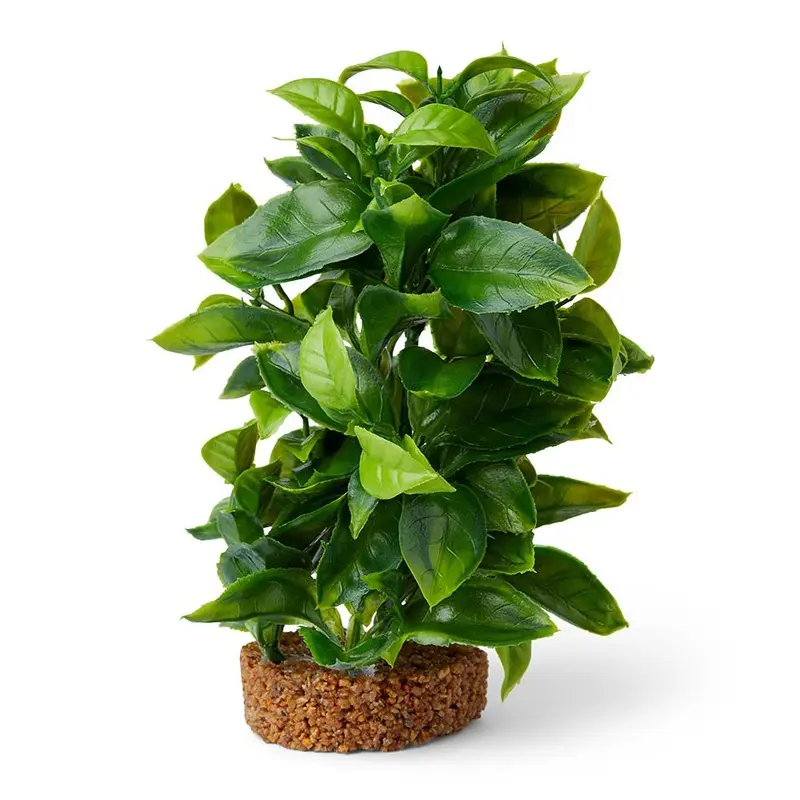 Pets At Home Ecoscape Gravel Base Nasaea Aquarium Plant Ornament Large