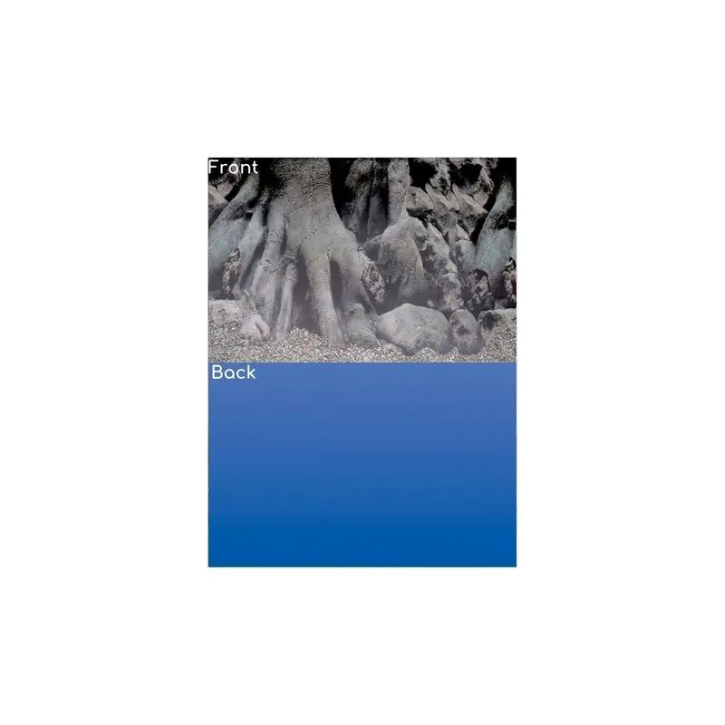 Superfish Blue (Design D - Roots/, - 120 X 49Cm) Deco Poster Aquarium Background Size 4