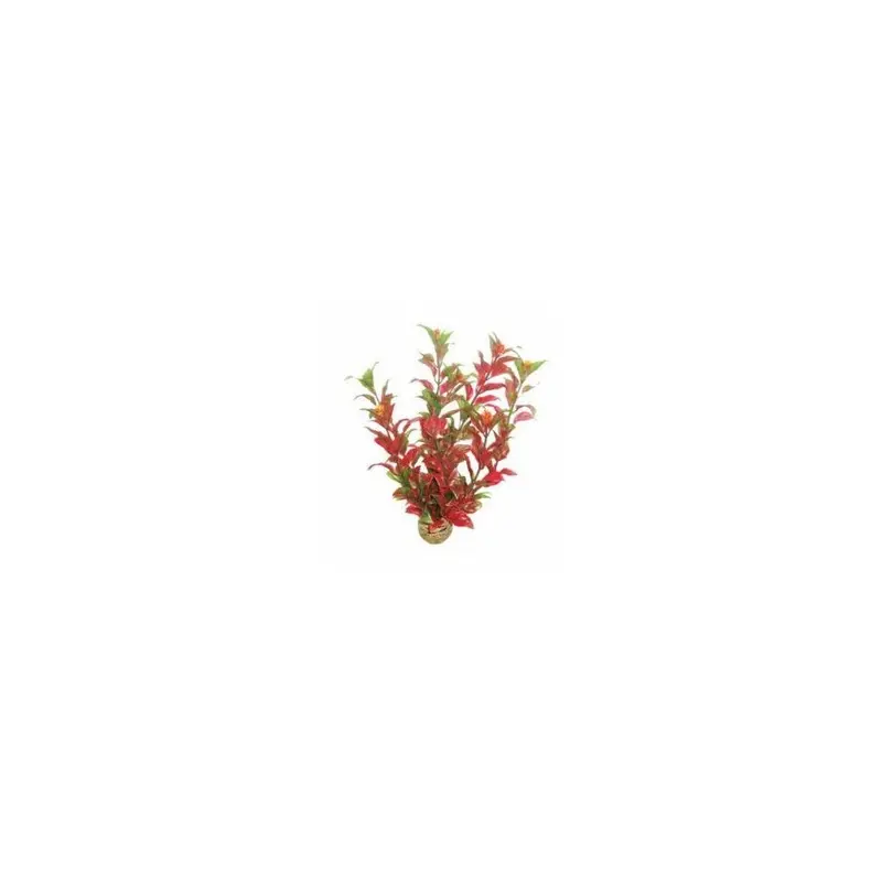 Superfish Easy Plant Middle - 6 - 515240 20Cm