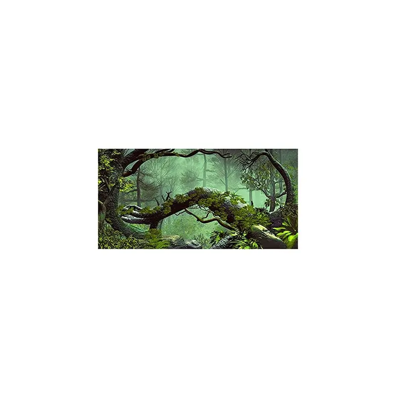 Awert Green 72X18 Inches Foggy Forest Terrarium Background Stone Tree