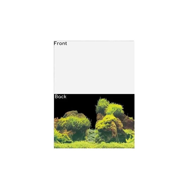 Superfish White (Design E - /Planted, - 120 X 61Cm) Deco Poster Aquarium Background Size 5