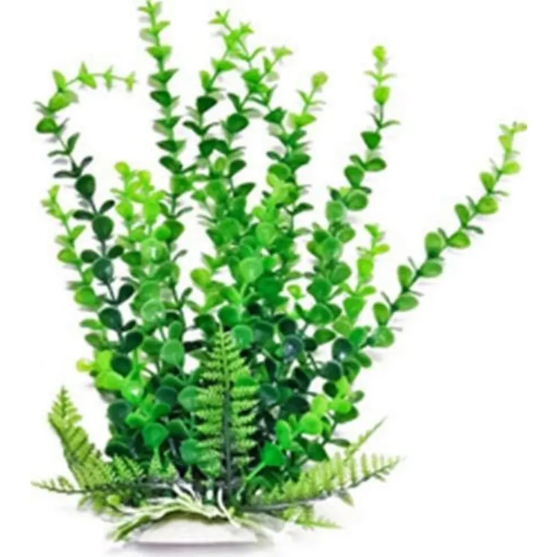 Aquatop Atp Plnt Elodea Gn 12In