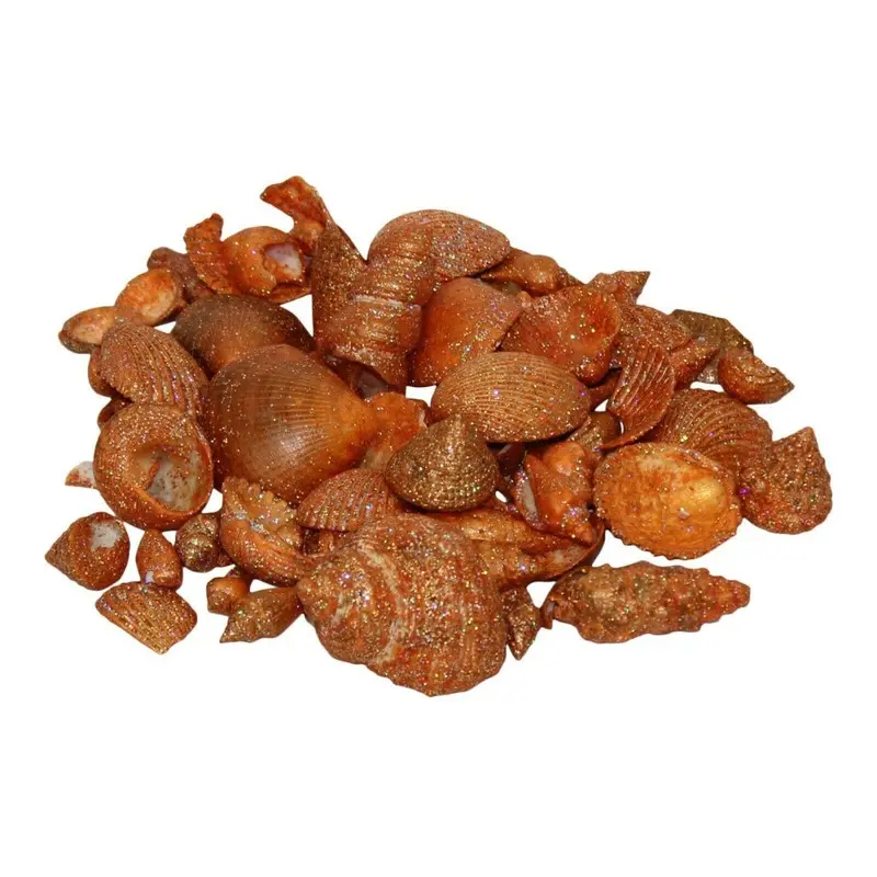 Fornord Orange Decorative Sea Shells Glitter Aquarium Display DCor