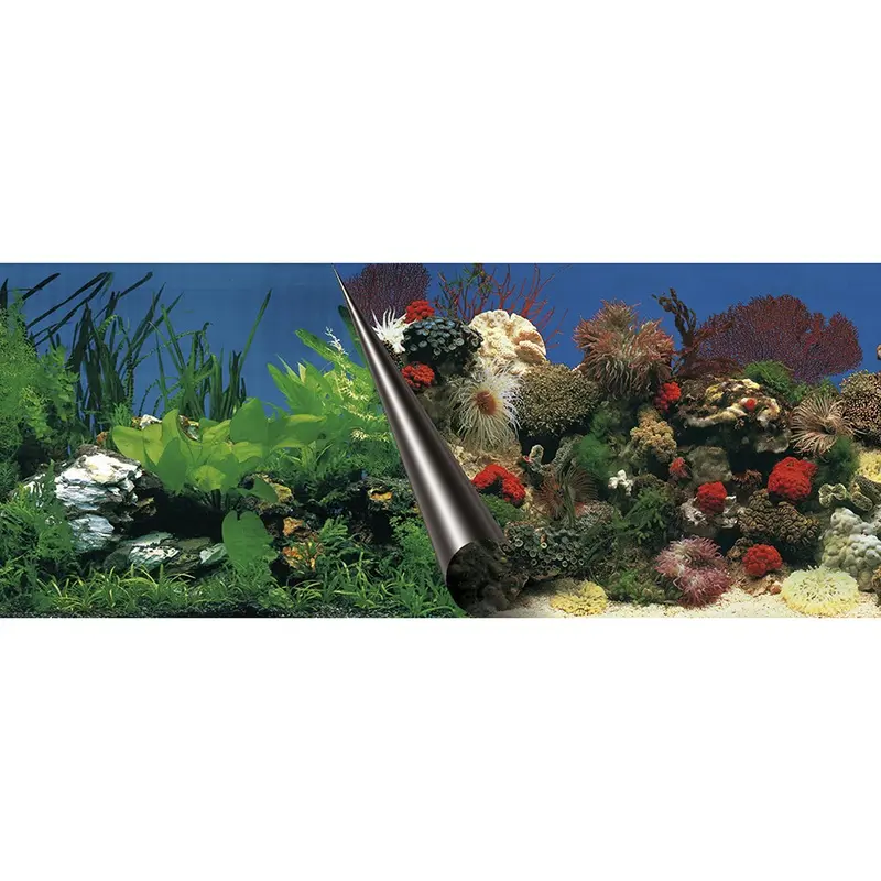 Aqua Della Multicolore Aquarium Background Poster Sea & Rock