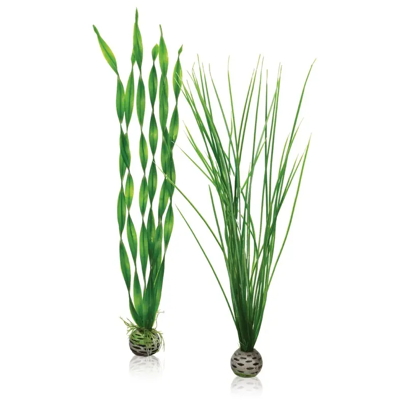 biOrb Plant Set L green