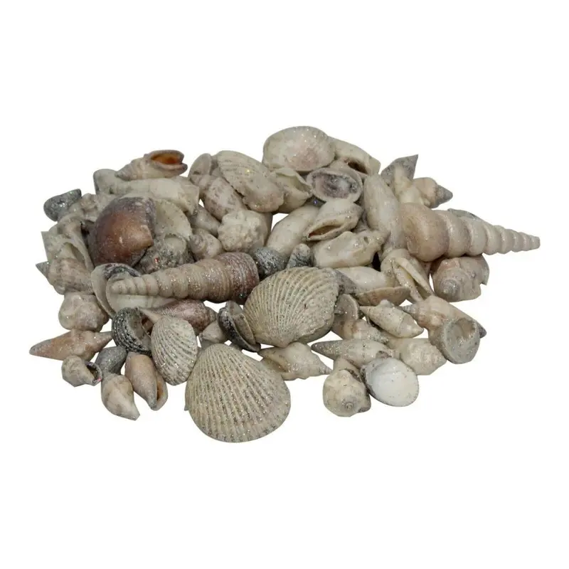 Fornord White Decorative Sea Shells Glitter Aquarium Display DCor
