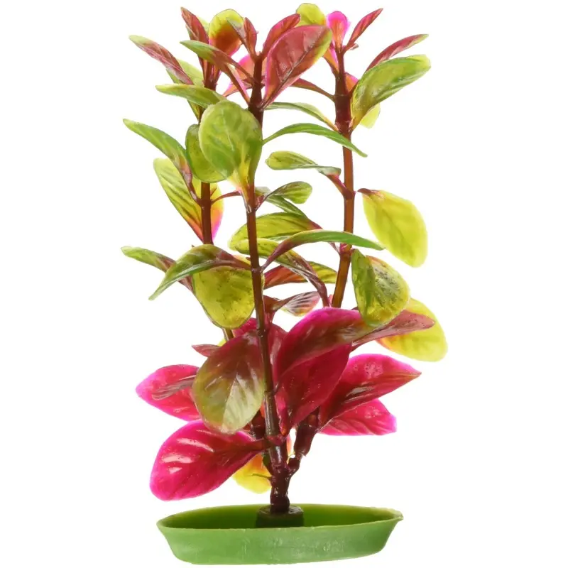 Rolf C Hagen Red Marina Aquascaper Ludwigia Plant 5-Inch