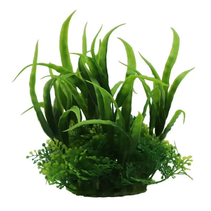 Swell Uk Green Swell Narrow Echinodorus Combination Artificial Plant Aquarium DCor