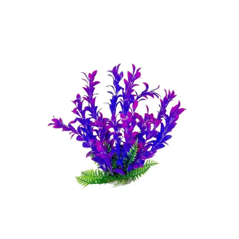Aquatop 38201438: Plant Hygro Pinkpurple 6In