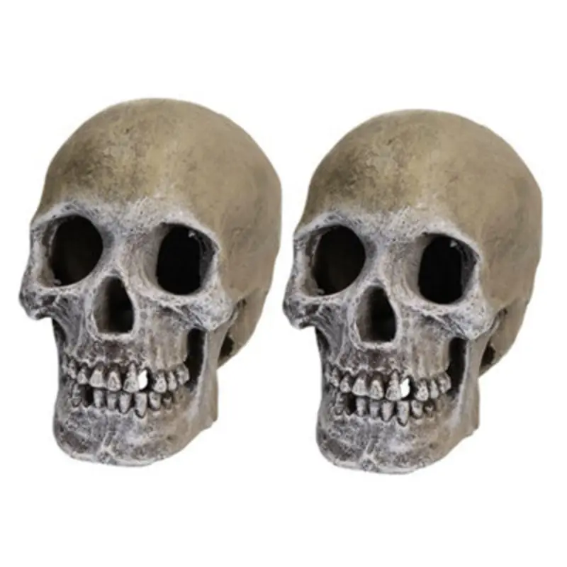 Ab Tools Two Aquarium Decor Life-Like Human Skull Fish Tank Ornament 11X17x14cm Blue