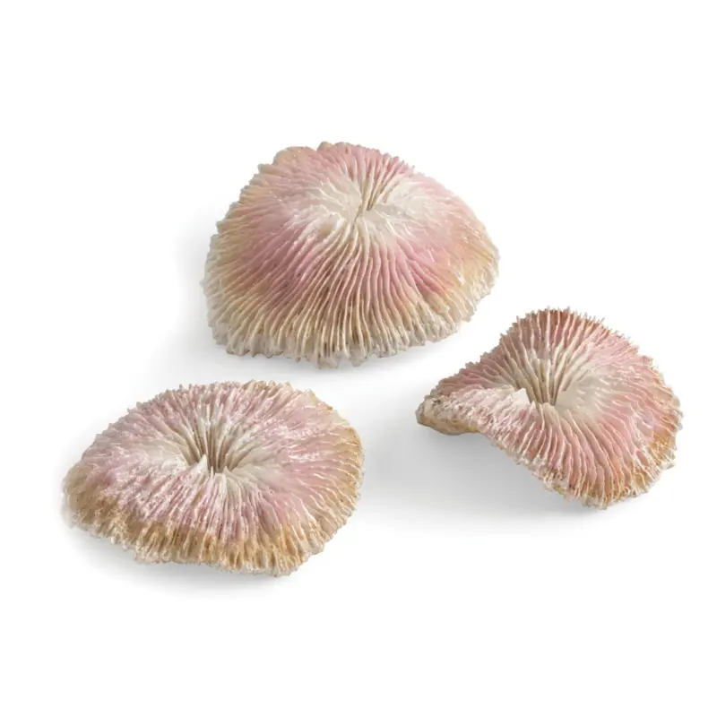 Biorb Coral Oase Plate Set Of Fish Tank Ornament Aquarium Decorations Size 3