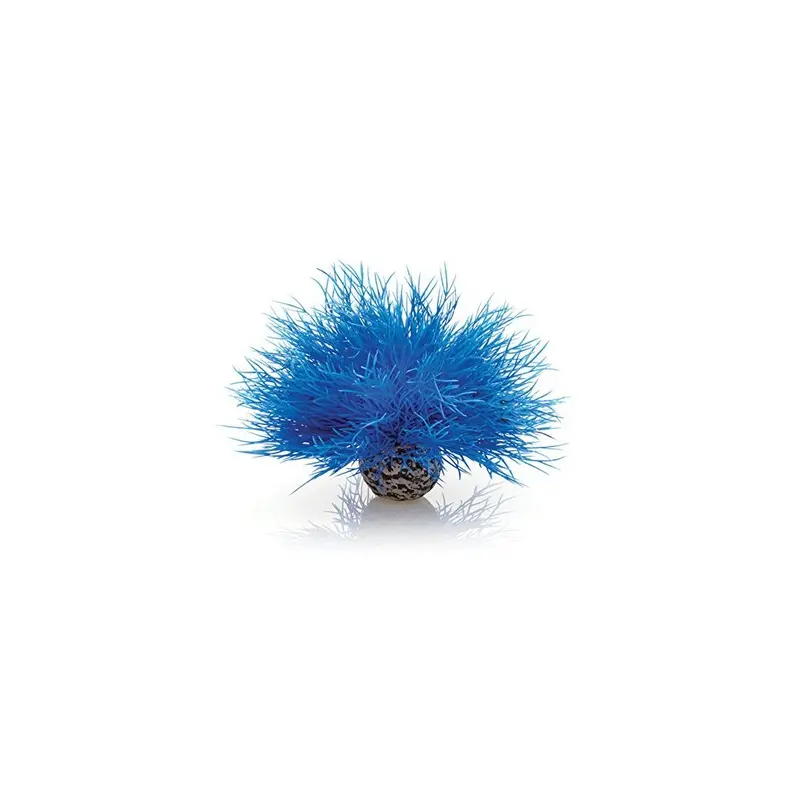 New Biorb Aquatic Sea Lily Plant - Aquarium Plant Blue Size 1