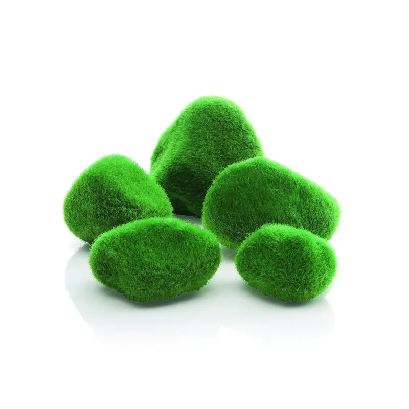 New Oase Biorb Pebble Set, Moss Bewachsen C-46084.0