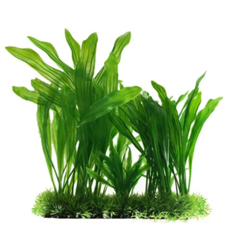 Swell Green Rounded Echinodorus Bush Artificial Plant Small