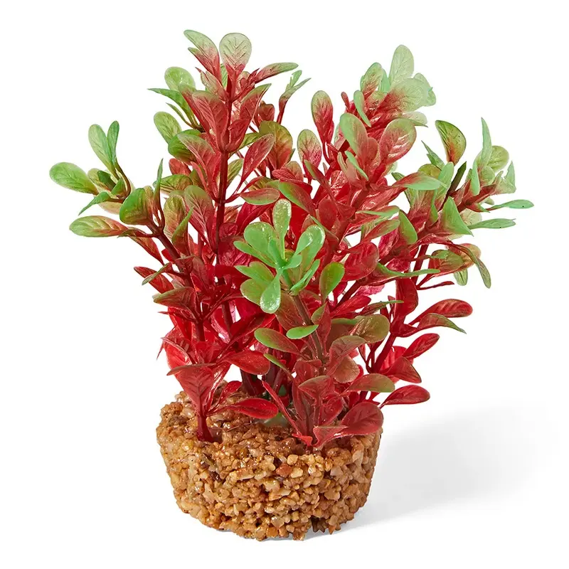 Pets At Home Ecoscape Gravel Base Hygrophila Aquarium Plant Ornament Small