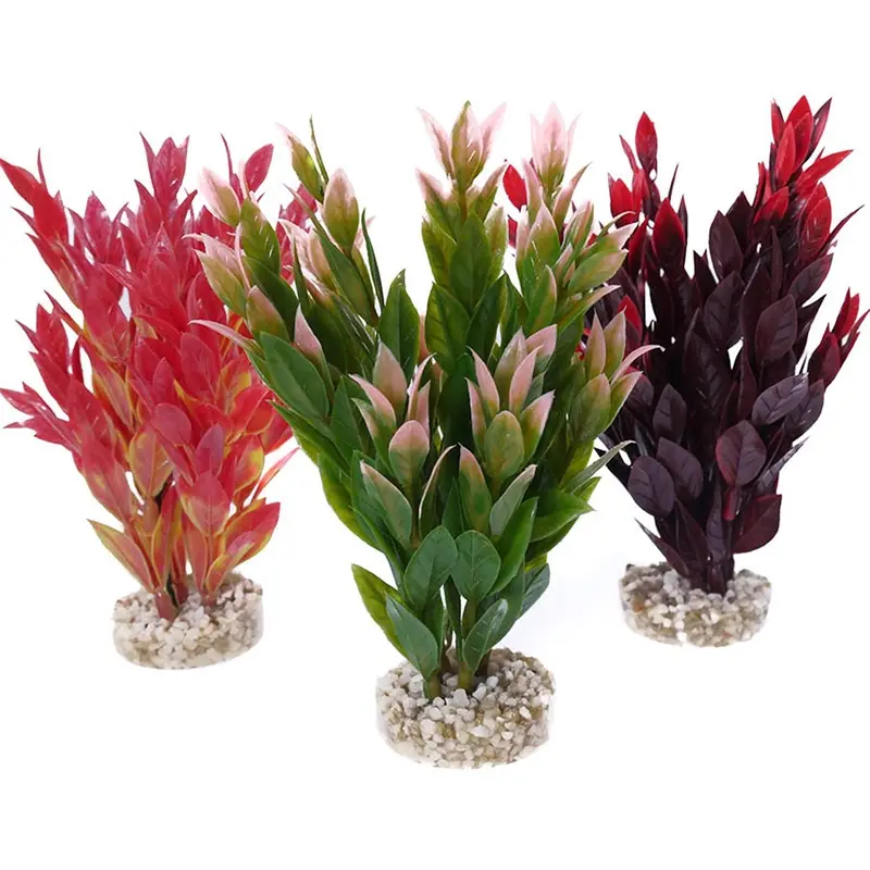 Sydeco Fiesta Ruscus Aquarium Plant