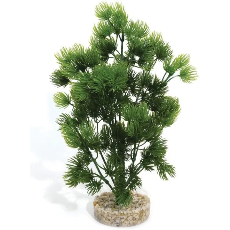 Sydeco Wild Moss Aquarium Plant - Single