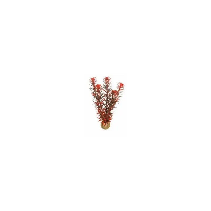 New Superfish Easy Plant Middle - 7 - 515245 20Cm