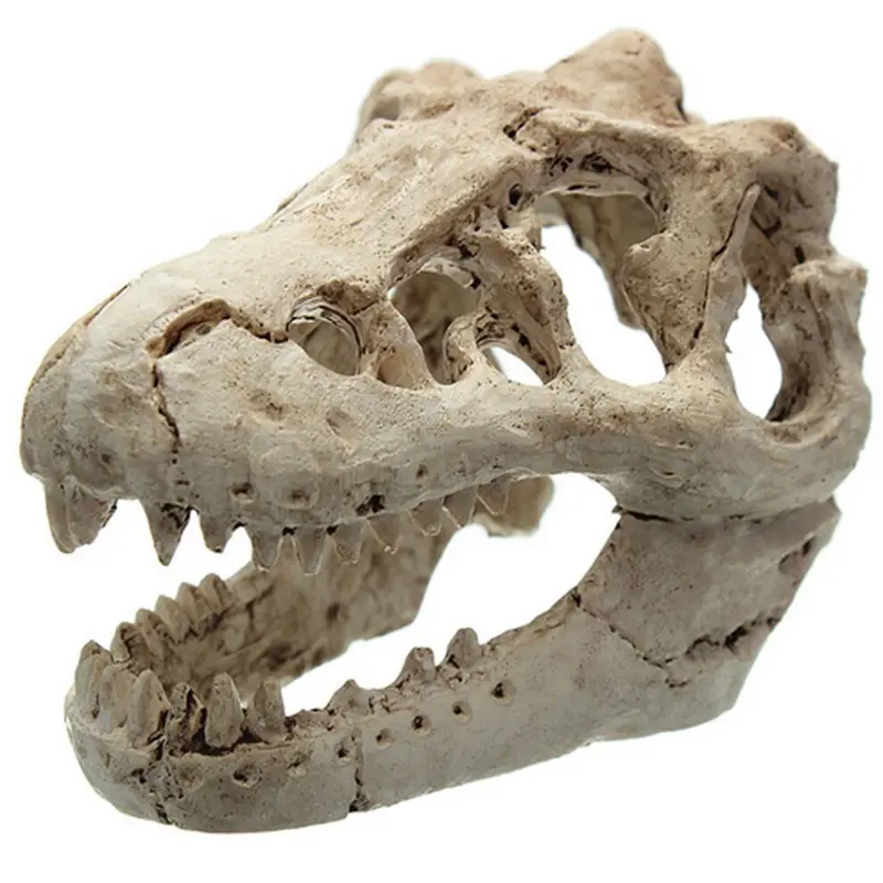 Dragon Resin Aquarium Decoration Crocodile Skull For Fish Tank Resin Ornament Size 1