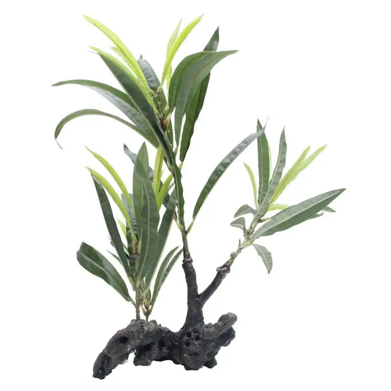 Hagen Fluval Plant Root Willow Lf Hygrophila 30Cm