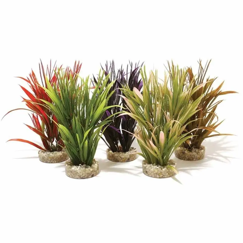 Sydeco Coloured Sword Plant Height Aquarium Plant - Assorted - 25Cm