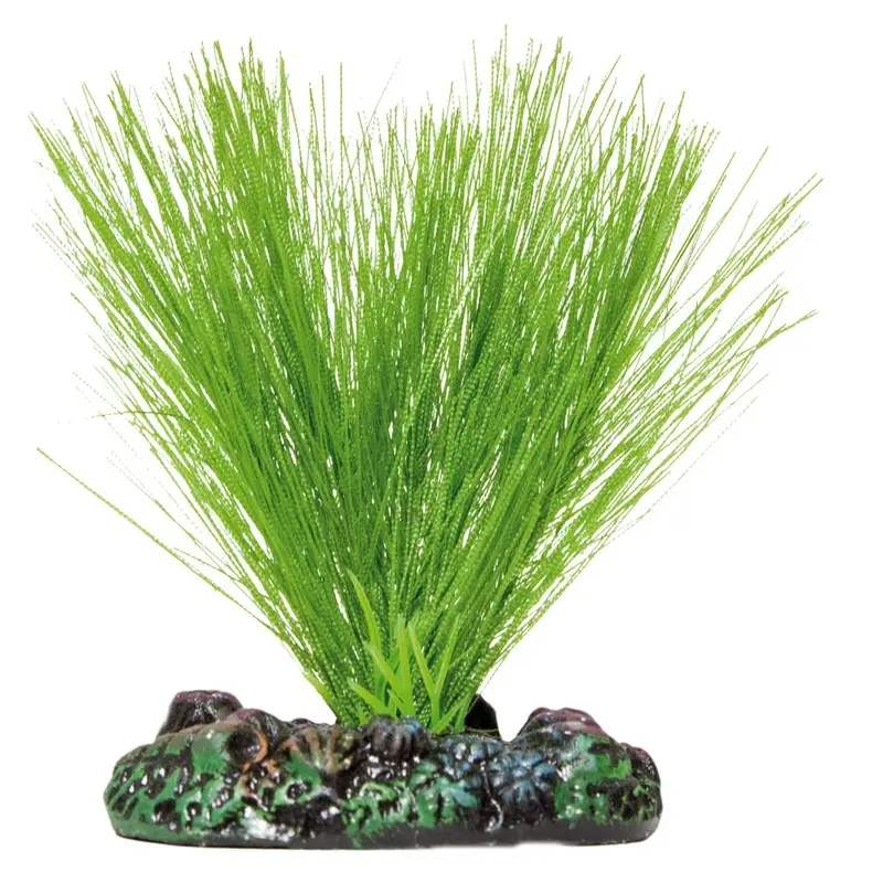 ICA AP1114 Aquatic Plants Miriophyllium