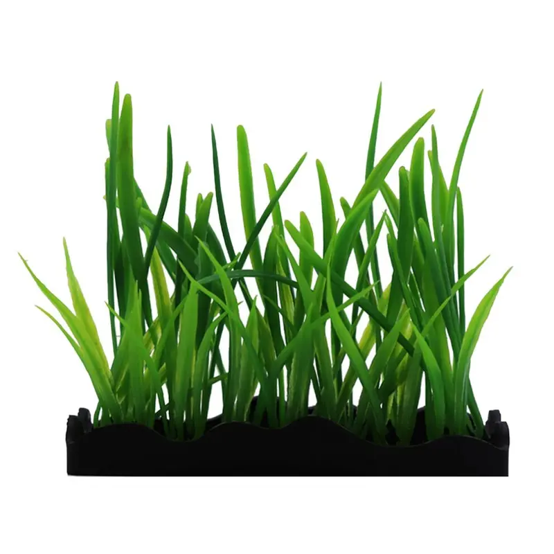 Swell Uk Swell Dwarf Sagittaria Artificial Plant Tray Aquarium DCor