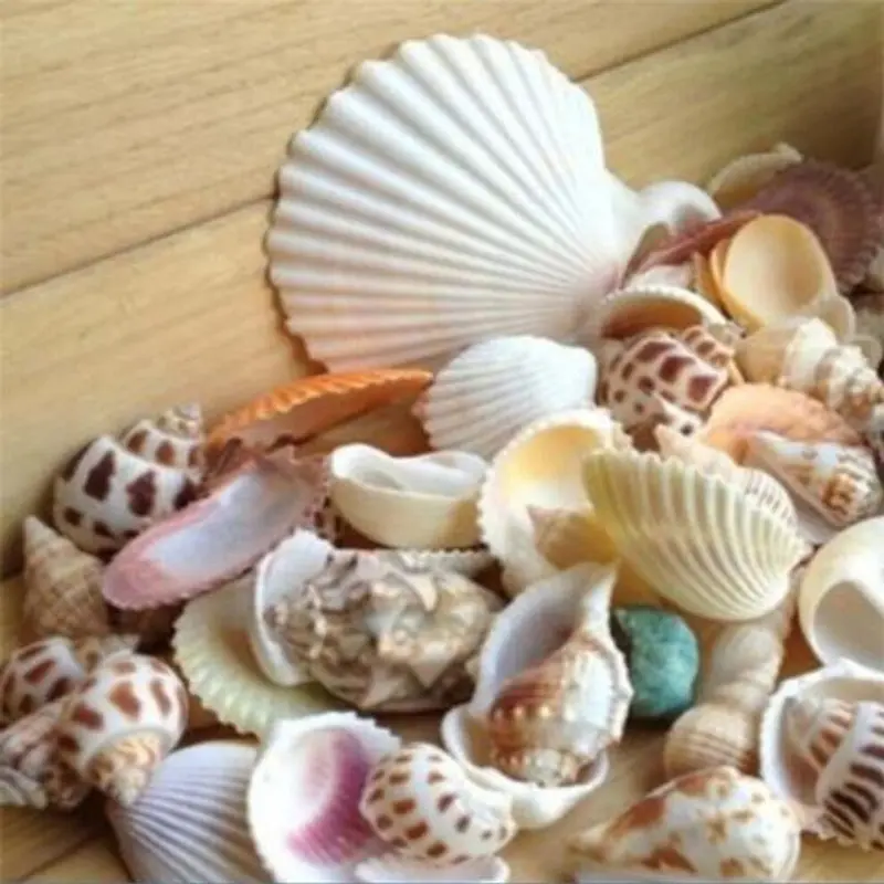 100G Mixed Sea Beach Shells Crafts Seashells Aquarium Decor Photo Props 100G