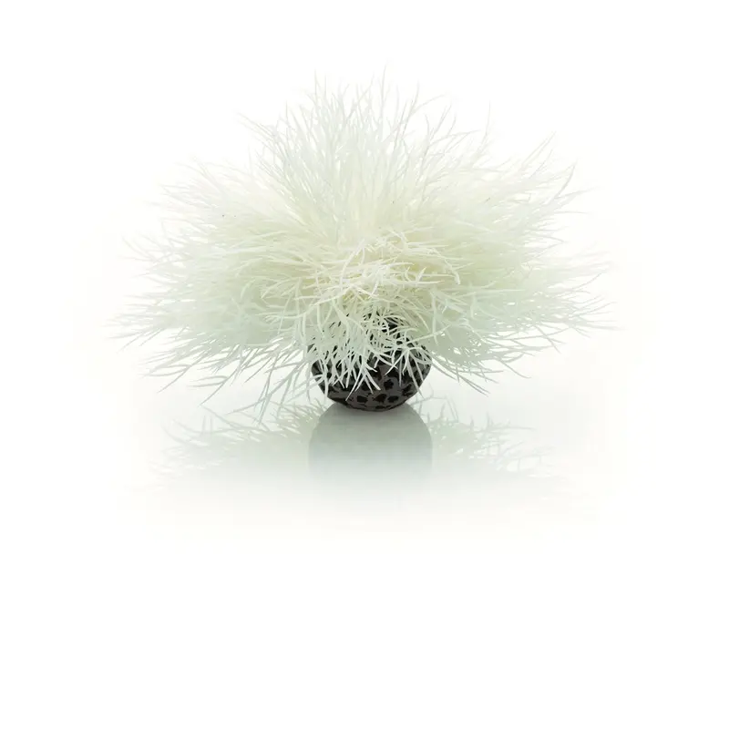 biOrb Aquarium Sea Lily White