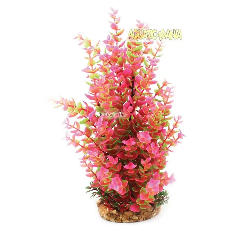 Aqua One Pink Vibrance - Hygrophila With Gravel Base (L) 28213