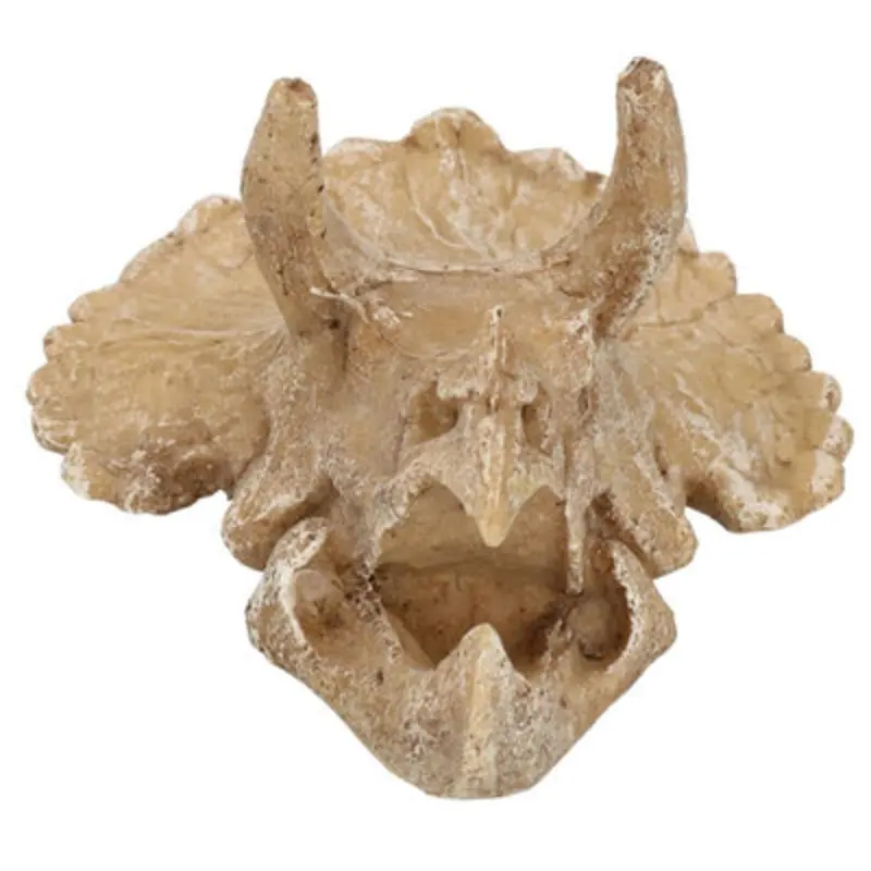 Ab Tools Medium Aquatic Aquarium Triceratops Skull Head Fish Tank Ornament 9X12x15cm