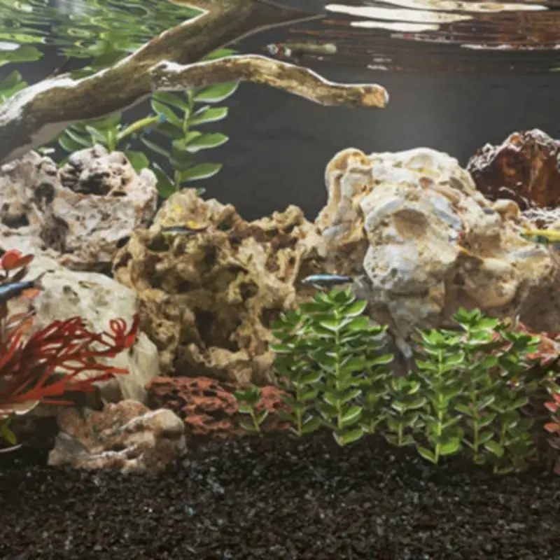 Walplus Dragon Stones For Aquarium Dcor 10 Kg Mixed Colour 10-30 Cm