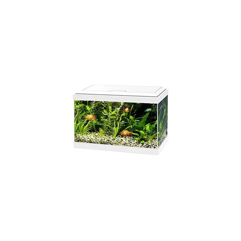Ciano White Aqua Aquarium With Led Lights & Filter Size 20
