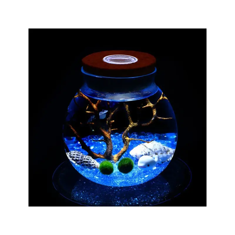 Keluofu Blue Led Aquarium Marimo Kit-Globe Glass Jar Stones Sea Fan Size 4