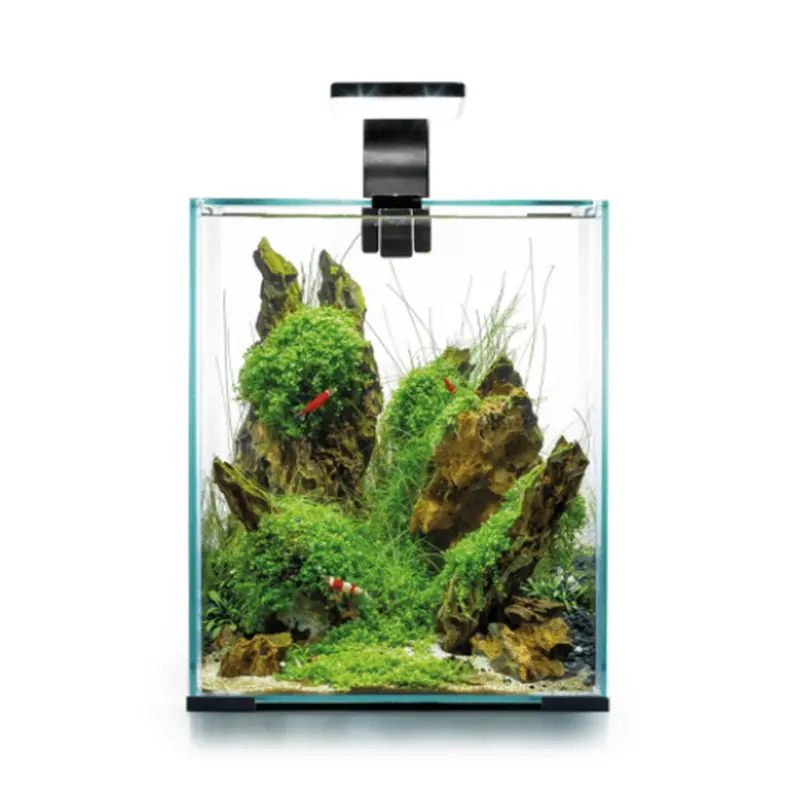Aquael Black (20L, ) Shrimp Set Day And Night 20L
