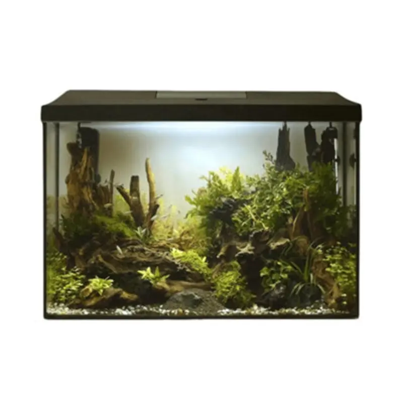 Aquael Light Leddy Aquarium Tall 72 Litre Fish Tank Size 8