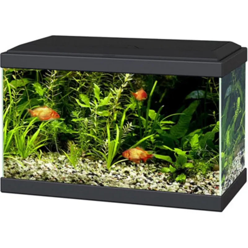 Ciano Aqua Aquarium 20 Led Lighting Hood Filter Beginner Fish Tank Black