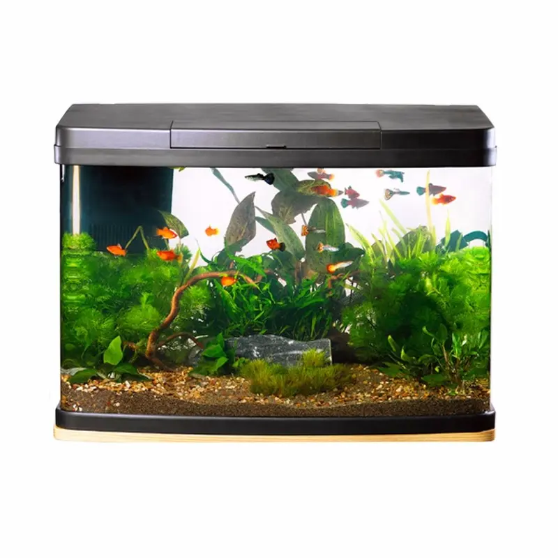 Love Fish Panorama Tank 64 Litre