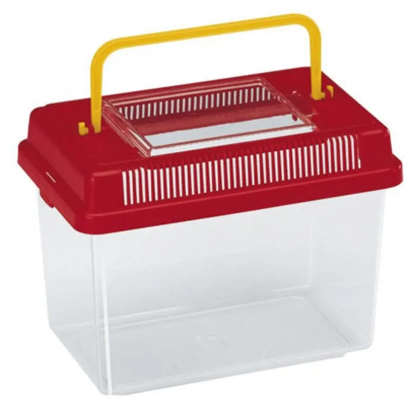 B&Q Geo Plastic Tank Mixed Colours 23.2X15.3x16.6cm Medium