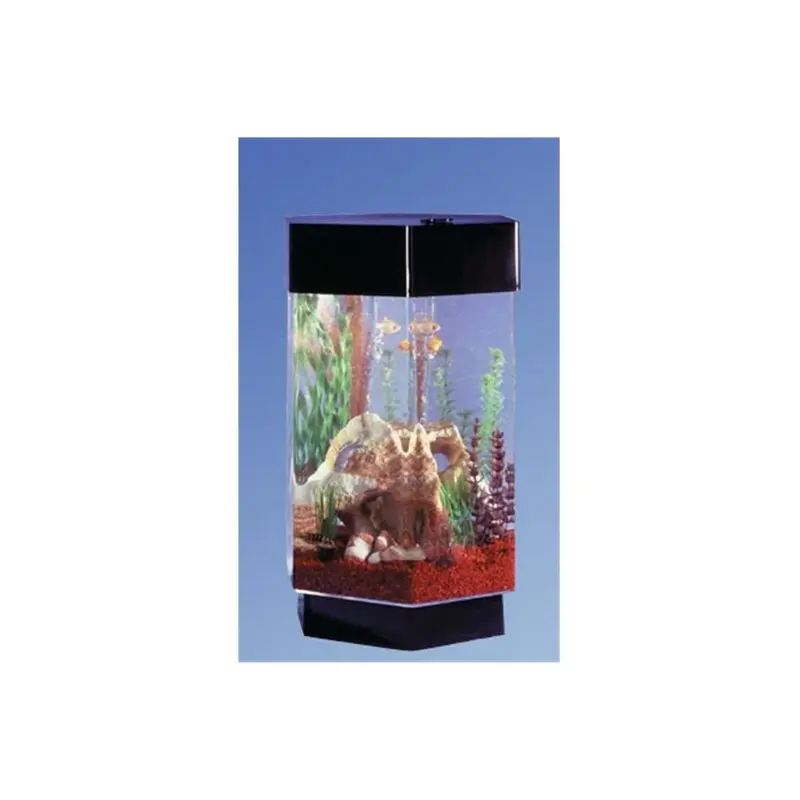 Catlady 12 In. Hexagon Aqua Scape 12In